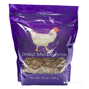 Pecking Order-Mealworms