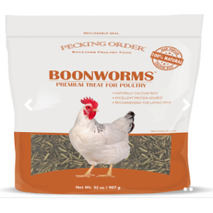 Pecking Order Boonworms