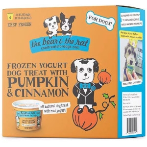 The Bear and The Rat Frozen Yogurt Pumpkin and Cinnamon 