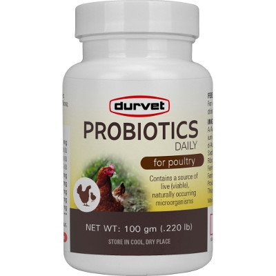 Probiotics Daily for Poulty