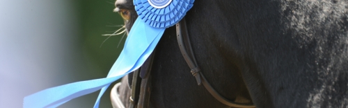 Show Season 