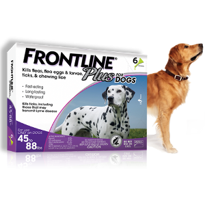 Frontline Plus for Dogs 