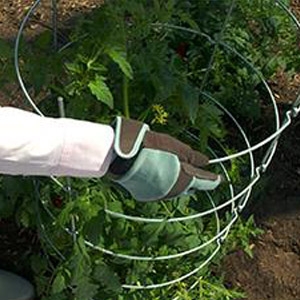 EZ Grow TC-4 Tomato Plant Cage