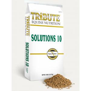 Kalmbach Tribute Solutions 10