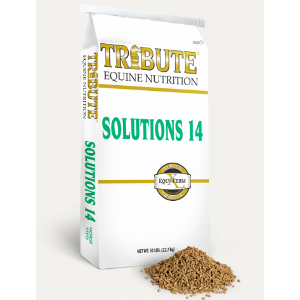 Kalmbach Tribute Solutions 14