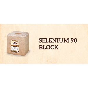 Redmond Selenium 90 Block 