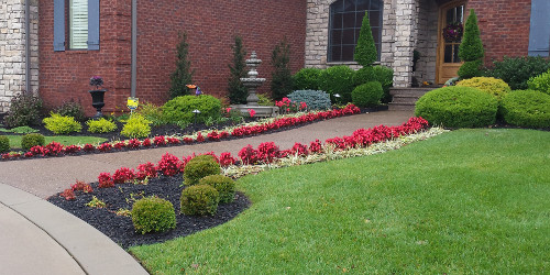 Flower lined entrance path
