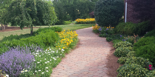Brick paving with mixed flower beds