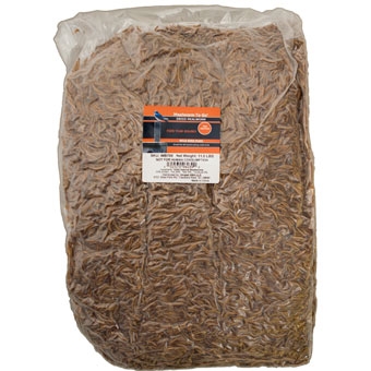 Mealworms To Go Dried Wild Bird Food, 11 lbs.