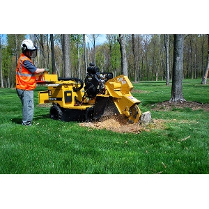 Rayco RG27 Stump Grinder