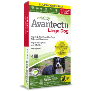 Vetality Avantect II Large Dog, 4 month supply