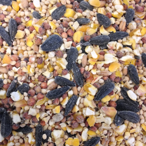 Horizon Economy Bird Seed, 50 pound bag