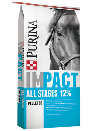 Purina Impact All Stages 12% Horse Feed