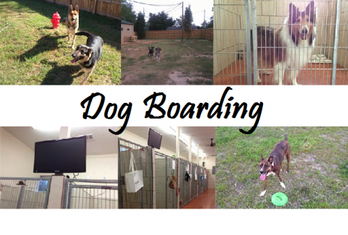 Boarding