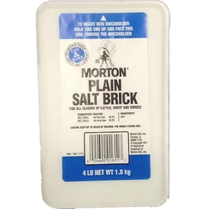 Morton Plain Salt Brick