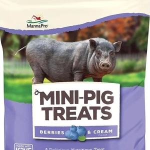 Mini-Pig Treats
