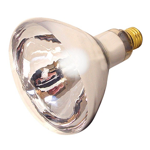Clear Heat Lamp Bulb, 250watt