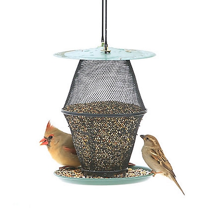 Perky Pet® NO/NO® Mixed Seed Lantern Wild Bird Feeder