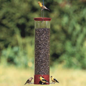 Yankee Dipper Bird Feeder