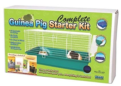 Complete Guinea Pig Starter Kit
