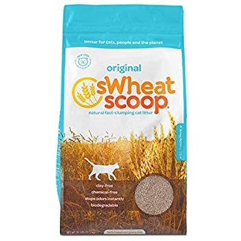 Scoop Wheat Litter 25Lb
