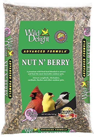 Nut N' Berry - Advanced Formula