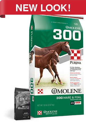 Purina® Omolene #300® Growth Horse Feed