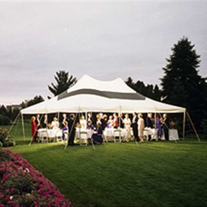 20 X 20 Canopy Tent