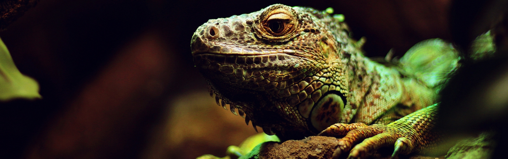 To AfFORDable Pet Center Pet Supplies, Pet Food, Garden