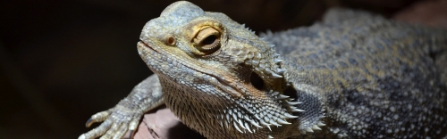Your Scales Supplier