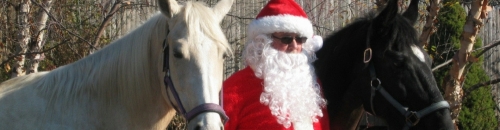 Free Pet Photos with Santa