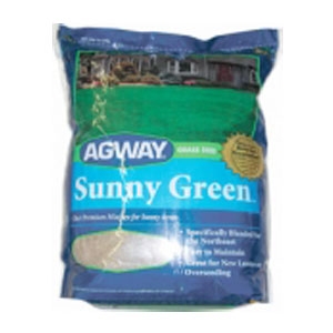 Agway Sunny Green Grass Seed 10lb