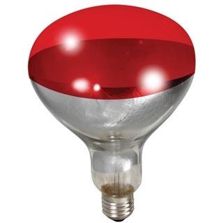 Miller Red Heat Lamp Bulb for Brooder Lamps, 250 Watts