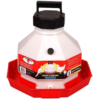 Little Giant Automatic Plastic Poultry Waterer, 3 gallons