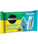 Miracle Gro Evergreen Spikes, 12 Pack