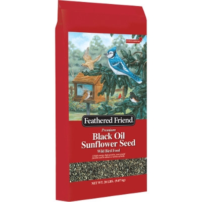 Feathered Friend Black Oil Sunflower Seed, 20 lbs.