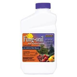 Bonide Fung-onil Multi-Purpose Fungicide Concentrate, 1 Pint