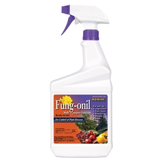 Bonide Fung-onil Multi-Purpose Fungicide Spray, 32 oz.