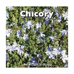 Chicory 3 Lb