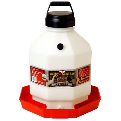 Little Giant Automatic Plastic Poultry Waterer, 5 gallons