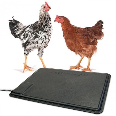 K&H Thermo Heated Pad for Chickens