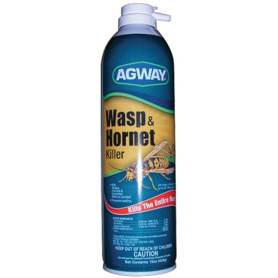 Agway Wasp & Hornet Killer Spray