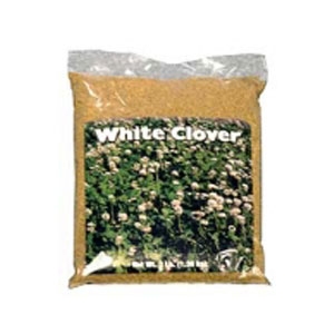 Clover White 3 Lb