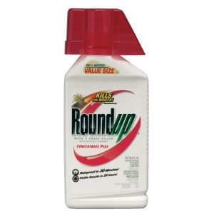Roundup Weed & Grass Killer Concentrate Plus, 36.8 oz