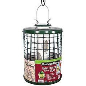 Feathered Friend Caged EZ-Clean Tube Feeder