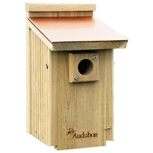 Audubon Bluebird House w/ Copper Roof