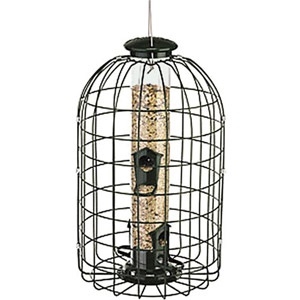Audubon Squirrel Proof Feeder with Cage