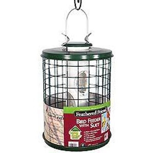 Feathered Friend caged seed bird feeder with ez clean base