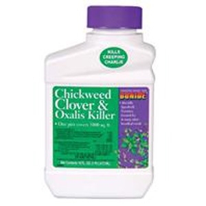 Bonide Chickweed Clover Oxalis Killer Concentrate