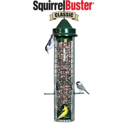 SquirrelBuster Classic Bird